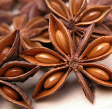 Anise Star Essential Oil